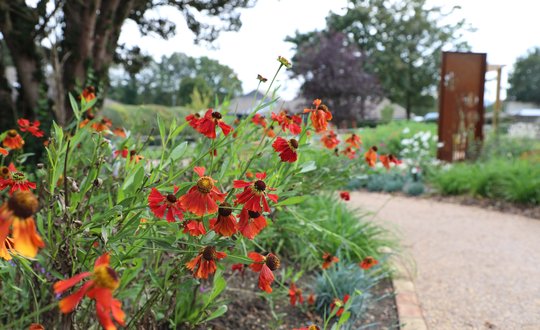 Flowers in garden of celebration