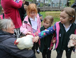 School farm (turid)