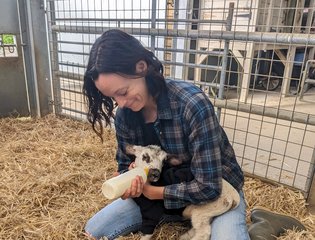 Farm volunteer