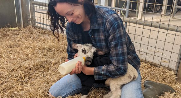Farm volunteer