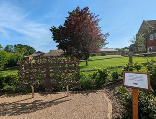 Garden of Celebration (2)