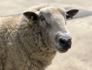 IMG_3658
