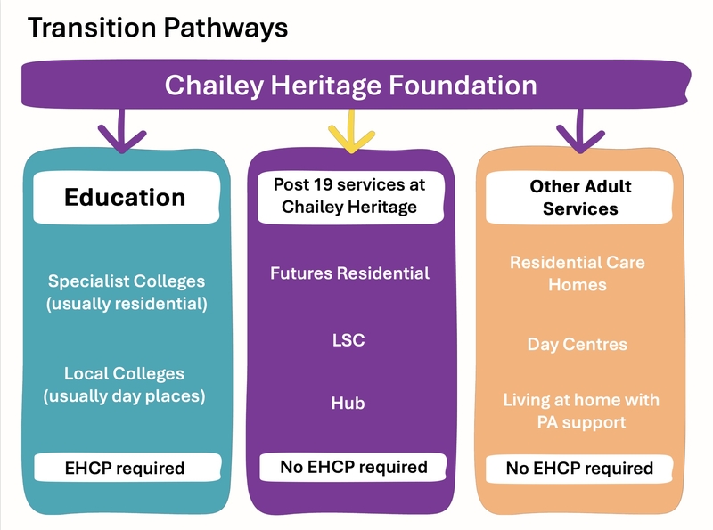 Transition Graphic explaining the 3 routes of transition