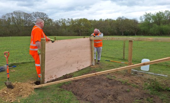 building a new house for the sheep